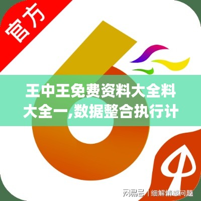 王中王免费资料大全料大全一,数据整合执行计划_X版2.681