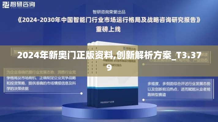 2024年新奥门正版资料,创新解析方案_T3.379