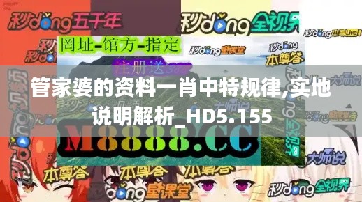 管家婆的资料一肖中特规律,实地说明解析_HD5.155