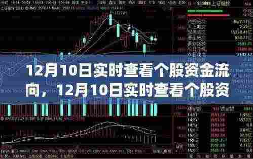 揭秘股市资金流向，实时查看个股资金动态，洞悉股市秘密！