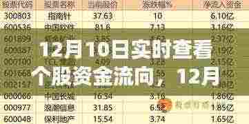 揭秘股市资金流向,实时查看个股资金动态,洞悉股市秘密!