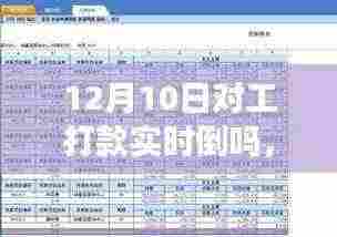 深度测评,揭秘12月10日对工打款实时到账服务