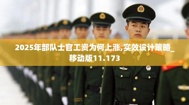 2025年部队士官工资为何上涨,实效设计策略_移动版11.173