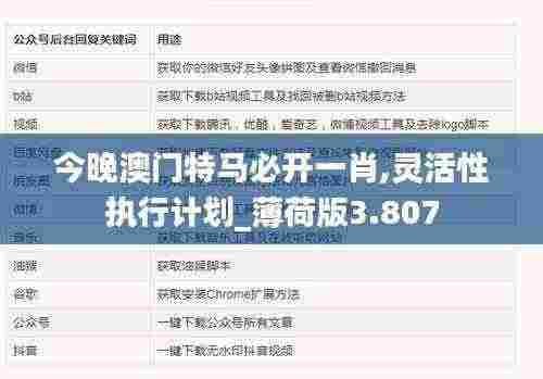 今晚澳门特马必开一肖,灵活性执行计划_薄荷版3.807