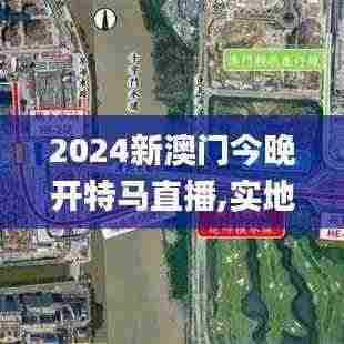 2024新澳门今晚开特马直播,实地数据分析计划_静态版2.631