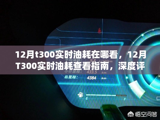 12月T300实时油耗查看指南,深度评测与介绍