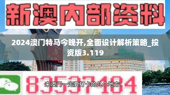 2024澳门特马今晚开,全面设计解析策略_投资版3.119