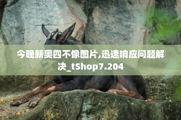 今晚新奥四不像图片,迅速响应问题解决_tShop7.204