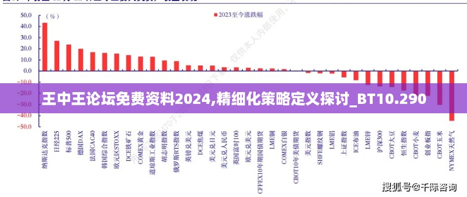 王中王论坛免费资料2024,精细化策略定义探讨_BT10.290