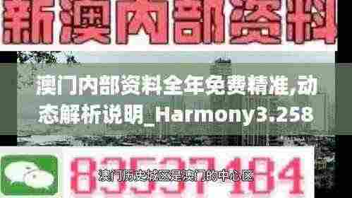澳门内部资料全年免费精准,动态解析说明_Harmony3.258