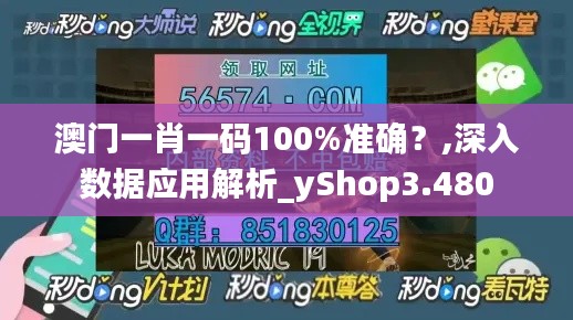 澳门一肖一码100%准确?,深入数据应用解析_yShop3.480