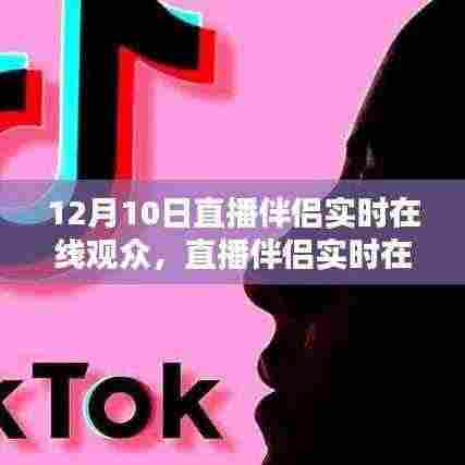 直播伴侣实时互动指南,从初学者到进阶用户的全方位指南(12月10日直播观众实时互动体验)