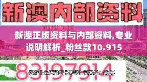 新澳正版资料与内部资料,专业说明解析_粉丝款10.915