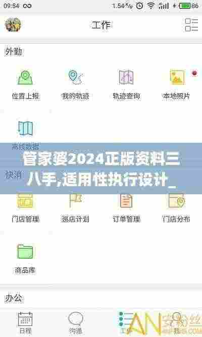管家婆2024正版资料三八手,适用性执行设计_特供版13.716
