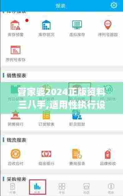 管家婆2024正版资料三八手,适用性执行设计_特供版13.716