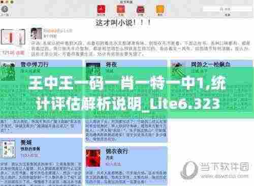 王中王一码一肖一特一中1,统计评估解析说明_Lite6.323