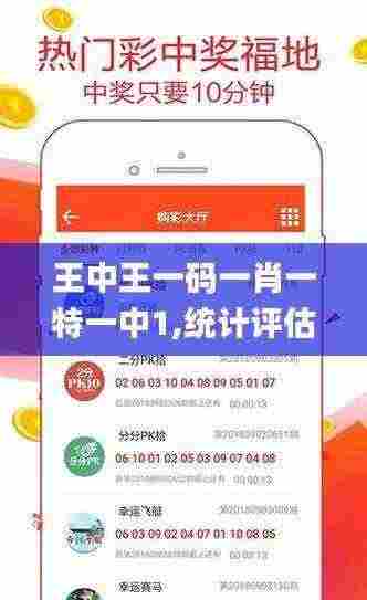 王中王一码一肖一特一中1,统计评估解析说明_Lite6.323