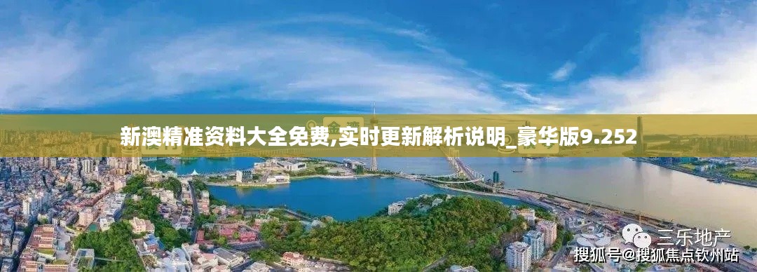 新澳精准资料大全免费,实时更新解析说明_豪华版9.252