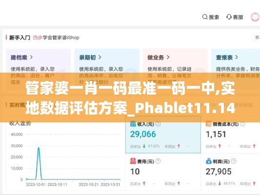 管家婆一肖一码最准一码一中,实地数据评估方案_Phablet11.140