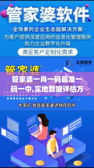 管家婆一肖一码最准一码一中,实地数据评估方案_Phablet11.140