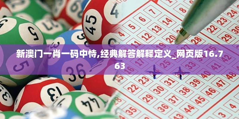 新澳门一肖一码中恃,经典解答解释定义_网页版16.763