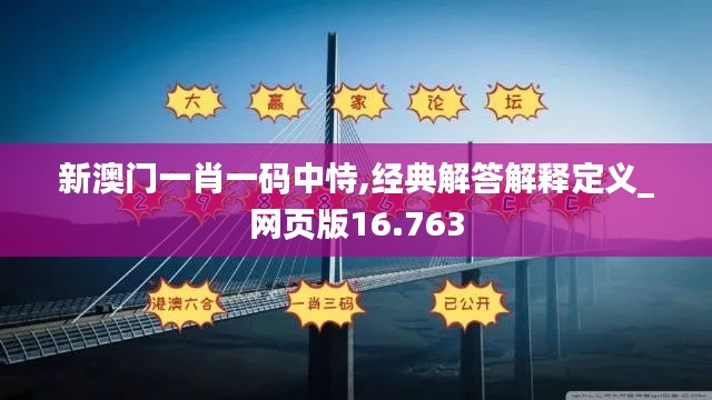 新澳门一肖一码中恃,经典解答解释定义_网页版16.763