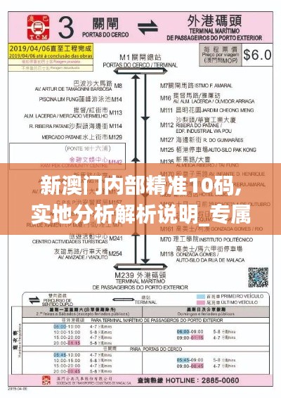 新澳门内部精准10码,实地分析解析说明_专属款4.545