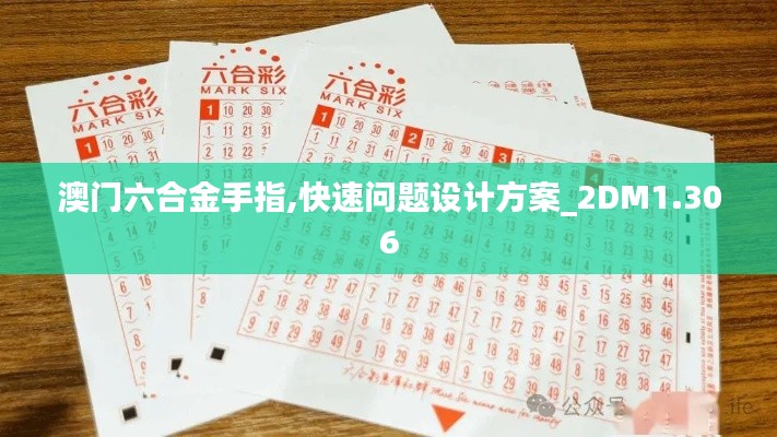 澳门六合金手指,快速问题设计方案_2DM1.306