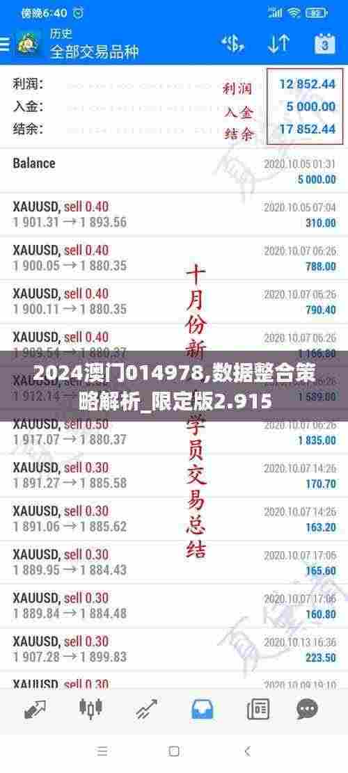 2024澳门014978,数据整合策略解析_限定版2.915