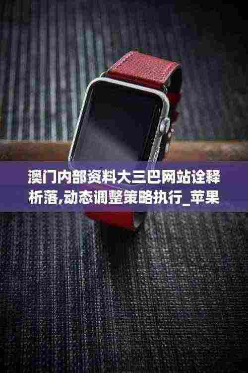 澳门内部资料大三巴网站诠释析落,动态调整策略执行_苹果7.255