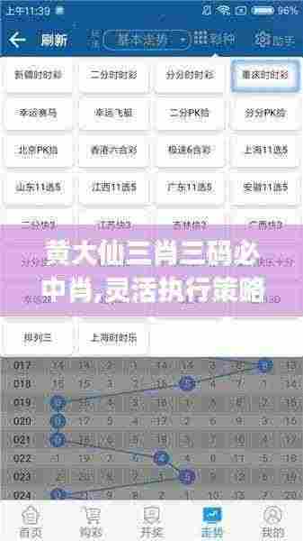 黄大仙三肖三码必中肖,灵活执行策略_UHD款4.541