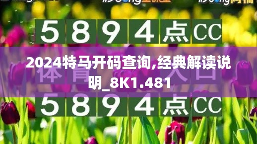 2024特马开码查询,经典解读说明_8K1.481