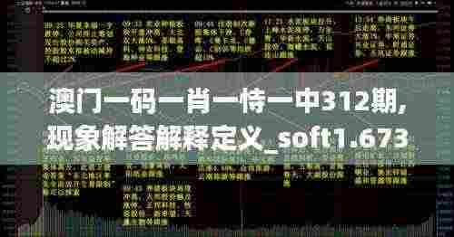 澳门一码一肖一恃一中312期,现象解答解释定义_soft1.673