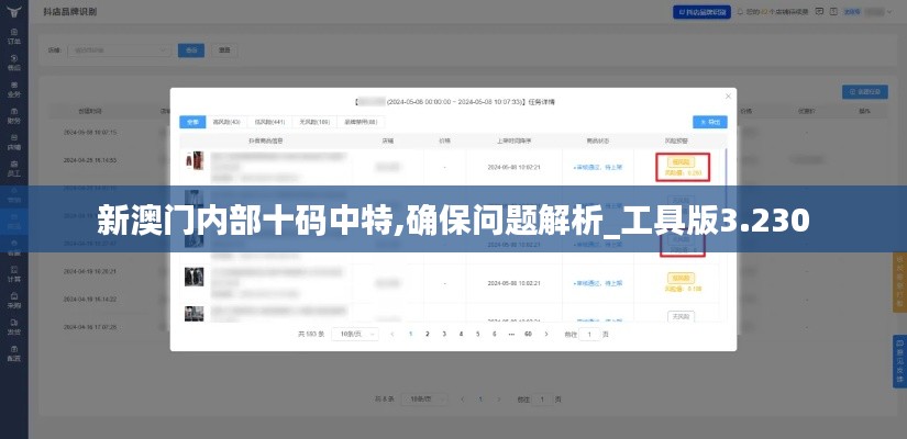 新澳门内部十码中特,确保问题解析_工具版3.230