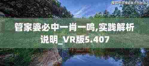 管家婆必中一肖一鸣,实践解析说明_VR版5.407