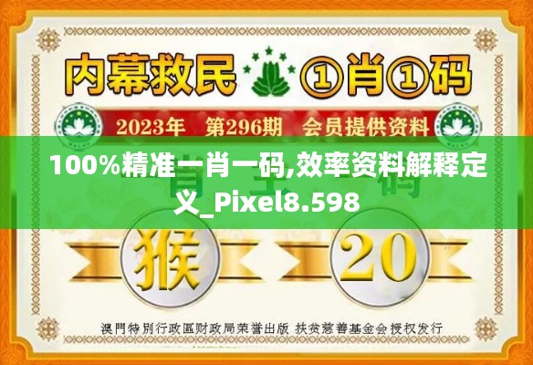 100%精准一肖一码,效率资料解释定义_Pixel8.598