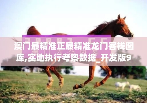 澳门最精准正最精准龙门客栈图库,实地执行考察数据_开发版9.466