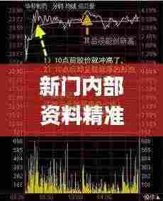 新门内部资料精准大全,收益说明解析_Max1.737