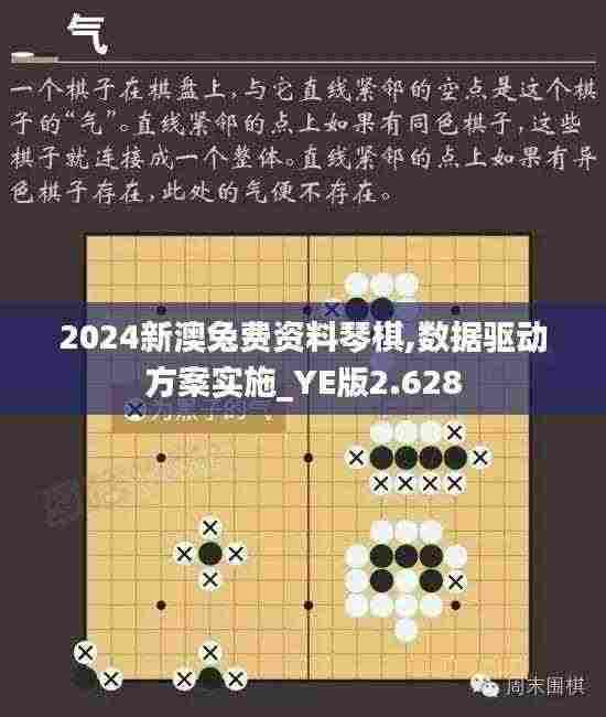 2024新澳兔费资料琴棋,数据驱动方案实施_YE版2.628