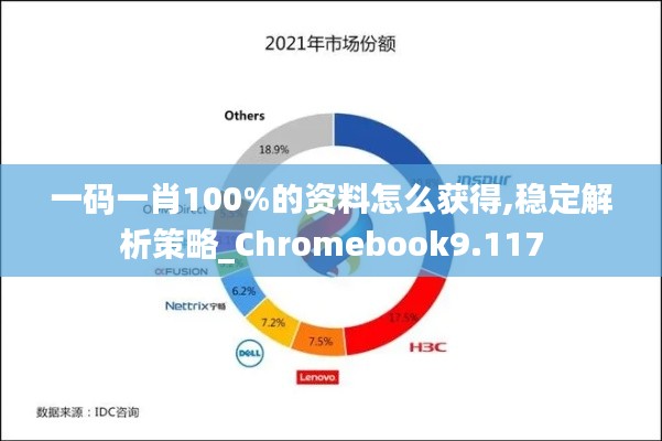 一码一肖100%的资料怎么获得,稳定解析策略_Chromebook9.117