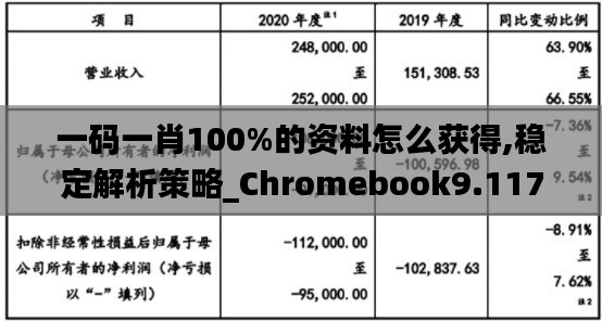 一码一肖100%的资料怎么获得,稳定解析策略_Chromebook9.117