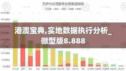 港澳宝典,实地数据执行分析_微型版8.888