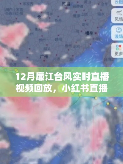 12月廉江台风实时直播回顾,直击风暴之眼,小红书上的自然之力展现