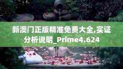 新澳门正版精准免费大全,实证分析说明_Prime4.624