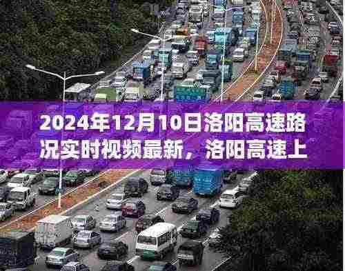 洛阳高速实时路况视频,温情时光下的奇妙旅程