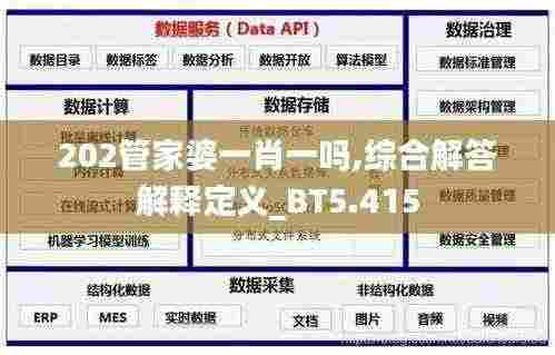 202管家婆一肖一吗,综合解答解释定义_BT5.415