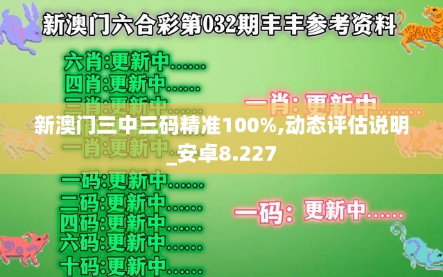新澳门三中三码精准100%,动态评估说明_安卓8.227