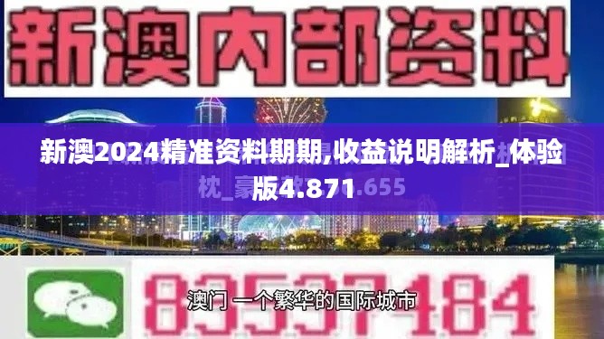新澳2024精准资料期期,收益说明解析_体验版4.871