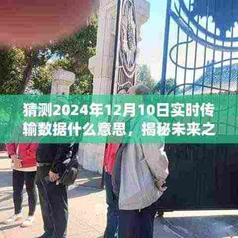 揭秘未来实时传输数据,探索自然美景与内心平静的冒险之旅,预测2024年12月10日数据揭秘的神秘面纱下隐藏的冒险故事
