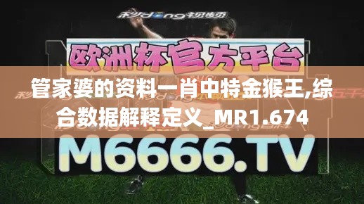 管家婆的资料一肖中特金猴王,综合数据解释定义_MR1.674